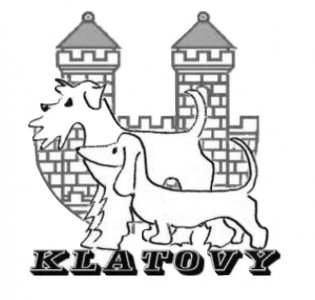 Výsledky Národní výstavy psů Klatovy 1.7.2023