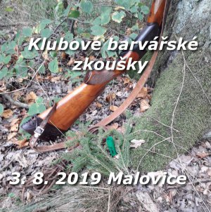 Klubové barvářské zkoušky  Malovice 3.8. 2019 