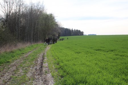 Zkoušky vloh Malovice 16.4.2017