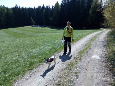 Dog-trekking