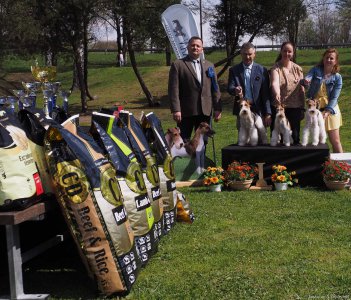 Výsledky a fotogalerie ze Speciální výstavy foxteriérů Ludkovice, 30.4.2022