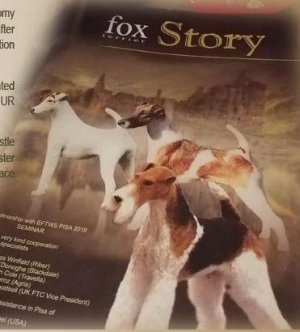 Přednáška od renomovaného chovatele foxteriérů Luca Detryho (chov. Belfox)