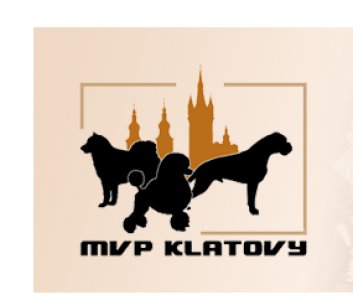 Výsledky Mezinárodní výstavy psů Klatovy 17.9.2022