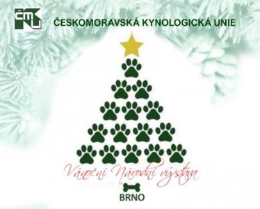 Výsledky Vánoční národní výstavy psů Brno 2.12.2023