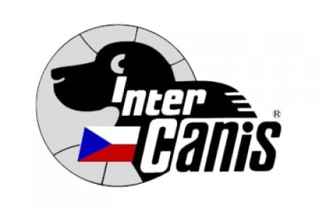 Výsledky z Mezinárodní výstavy Intercanis Brno 22.6.2024