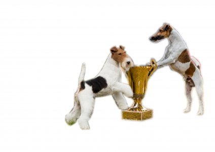 Výsledky KV Malovičky