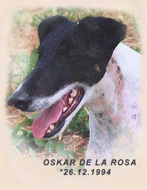 Oskar de la Rosa