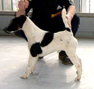 Kenno von der Bismarckquelle