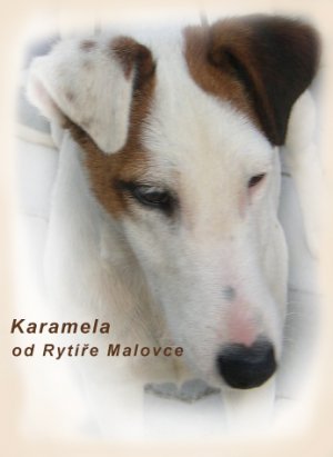 Karamela od Rytíře Malovce