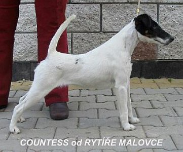 Countess od Rytíře Malovce