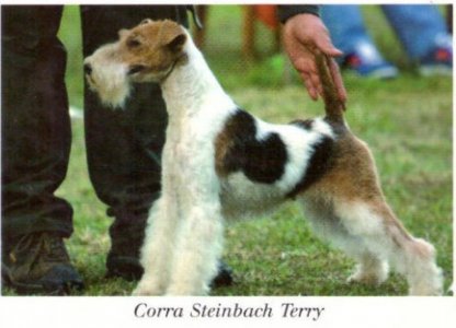 Corra Steinbach Terry