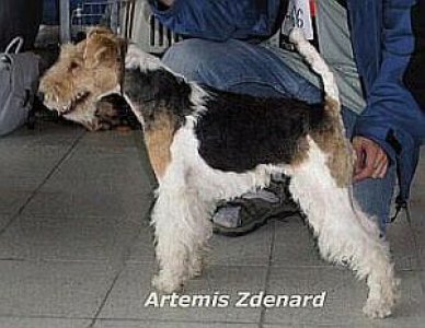 Artemis Zdenard