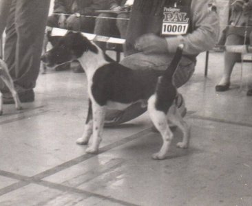 Nico v. Jemchen