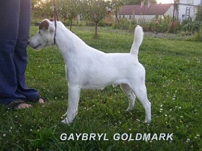 Gaybryl Goldmark